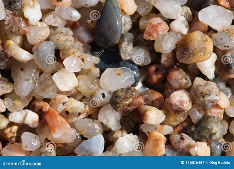 Small Pebbles On The Beach Close Up Stock Image Image Of Texture