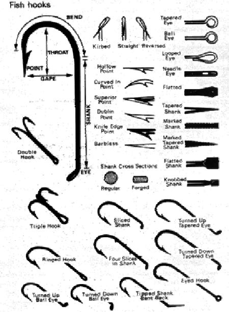 hook types employed  hook gear  scientific diagram