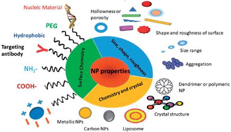 Nanoparticle Physiochemical Properties Download Scientific Diagram