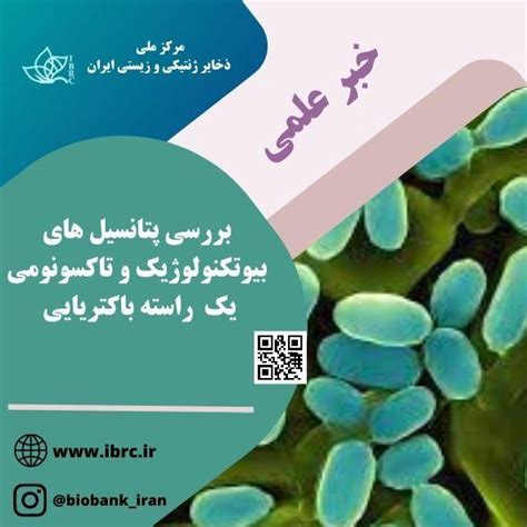 پتانسیل های بیوتکنولوژیک و تاکسونومی یک راسته باکتریایی بررسی شد