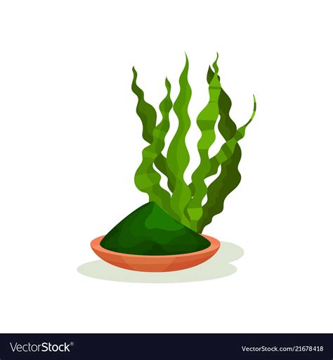 Spirulina Clipart PNG Vector PSD And Clipart With 44 OFF