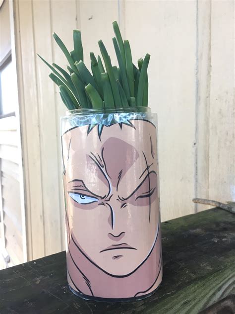 My girlfriend is growing green onions and I couldn’t resist. : r/OnePiece