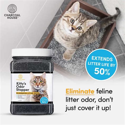 cat urine smells, kitty odor eiliminator, cat stink