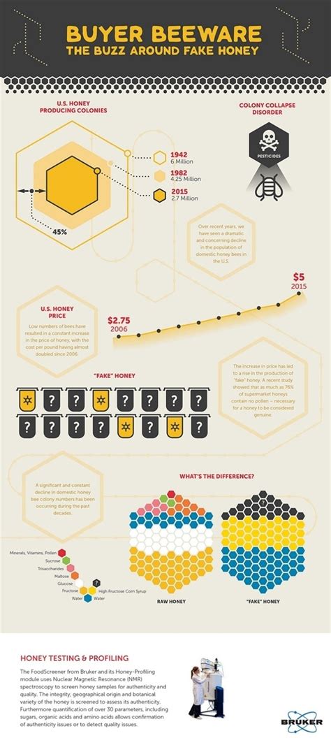 Exploring NMR Spectroscopy Applications through Interesting Infographics