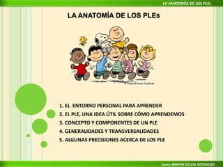 La Anatom A De Los Ples Ppt