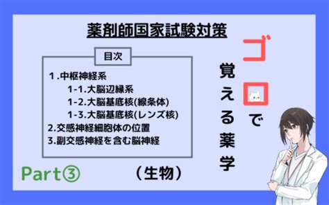 【薬剤師国家試験】中枢神経系のゴロ教えます！（ゴロで覚える薬学） 薬剤師の気まぐれノート