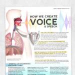 How We Create Voice And Speech Adult And Pediatric Printable