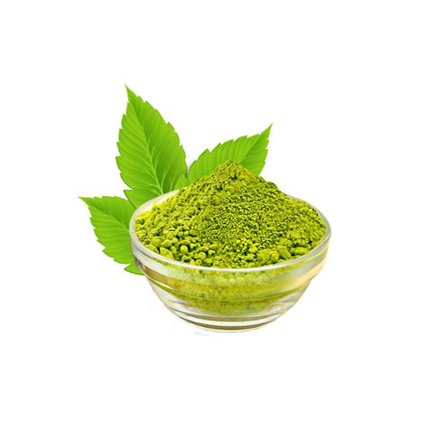 Buy Henna Leaves - Barg-e-Hina - Lawsonia Inermis - برگ حنا in Pakistan