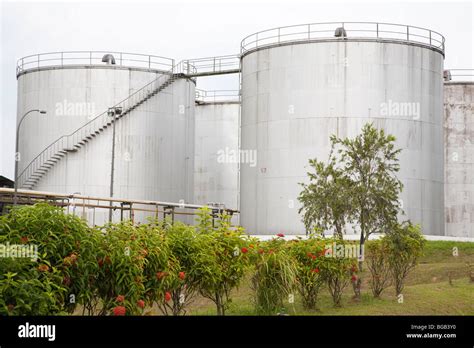 Storage Container For Palm Oil Crude The Sindora Palm Oil Mill Stock