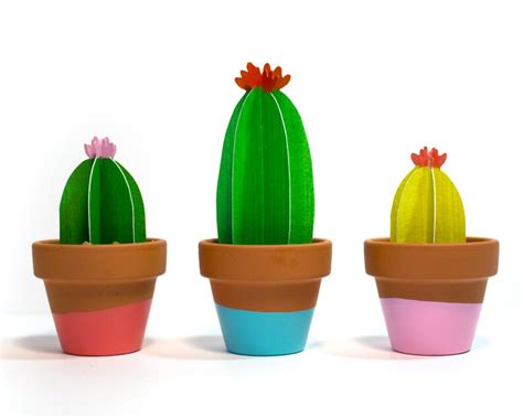 Potted Paper Cactus With Blooming Flower Parodia Cactus Etsy