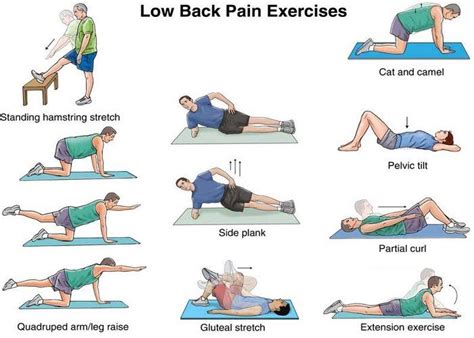 19 best images about Physiotherapy Exercises For Back Pain on Pinterest