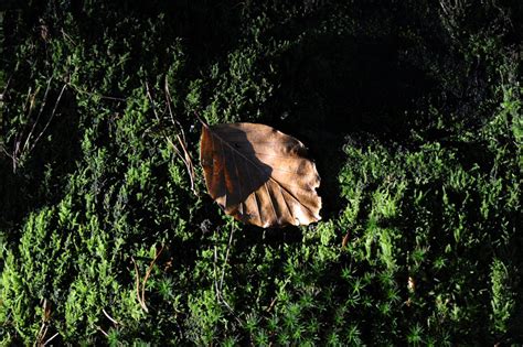 Stefan Oldenburg Fotografie Natur