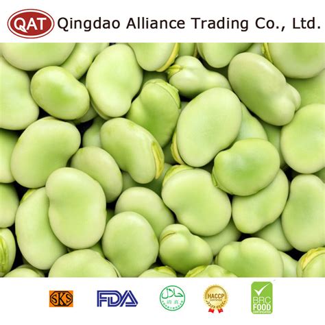 Halal Brc Iso New Crop Frozen Iqf Green Color Broad Beans With Factory