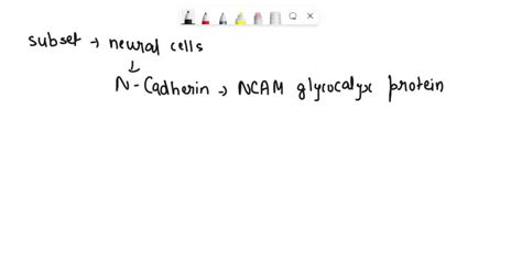 Solved Concept Map The Following Terms Use The Instructions Found Under Helpful Links And