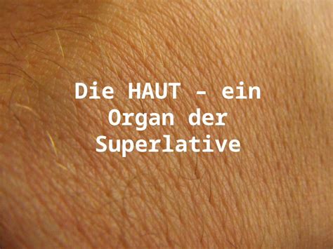 PPT HAUT ein Organ der Superlative Das größte Organ des