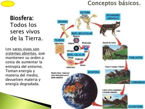 Que Es La Biosfera Caracteristicas Tipos Y Ejemplos Images