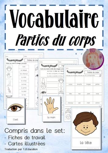 Vocabulaire Parties Du Corps Ressource Pédagogique Pour Ton Cours De