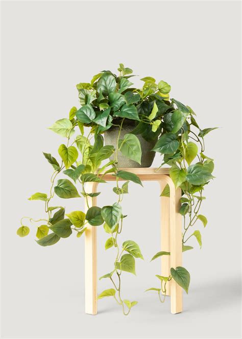 Real Touch Philodendron Hanging Plant | Best Fake Plants at Afloral