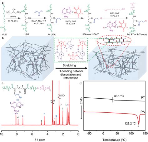 Design And Synthesis Of Nucleobase‐containing Long‐chain Polymers A Download Scientific