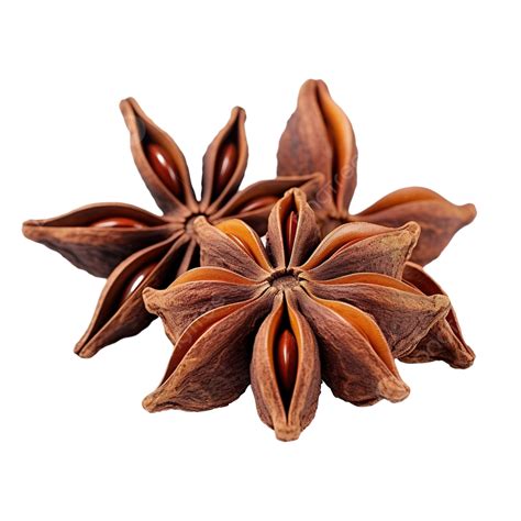 Spice Star Anise Star Anise Spice Plants Png Transparent Image And