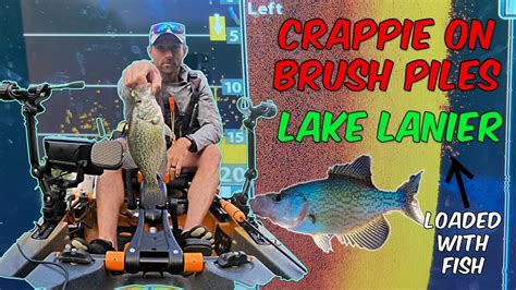 Catching Crappie On Brush Piles Bald Ridge Creek Lake Lanier Brush