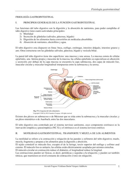 Calaméo Fisiologia Gastrointestinal