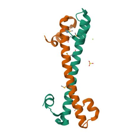 RCSB PDB 7LQ3 Evolution Of A Sigma C Di GMP Antisigma Switch