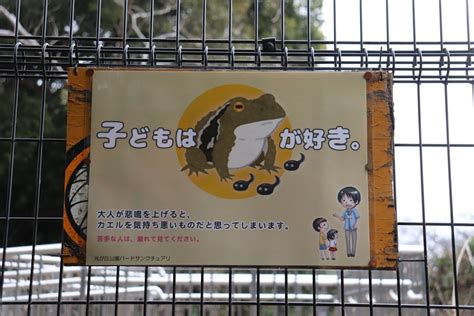 「カエルが苦手な人は、離れてみて」公園の大人向けに掲示されたポスターが話題 メッセージに託した思い｜まいどなニュース