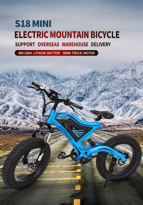 45公里小时20英寸胖轮胎全悬挂儿童48v 500w山地电动自行车ebike Buy 儿童电动自行车，全悬架电动自行车，全悬架电动自行车