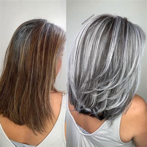 Cabello Gris Ondulado Formatoapa Reglas Y Normas Apa