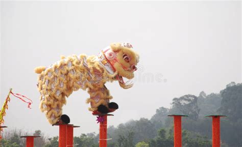 Lion Dance Stock Photo Image Of Park Outdoor Pole 13856976