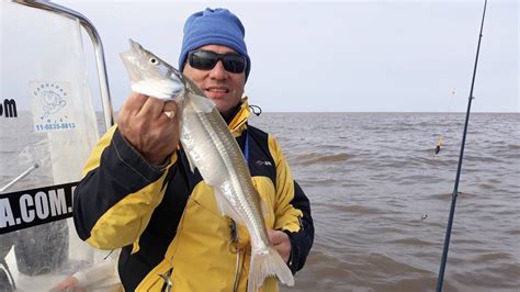 Guia De Pesca En Berisso Altapesca Siguen Picando Los Gigantes