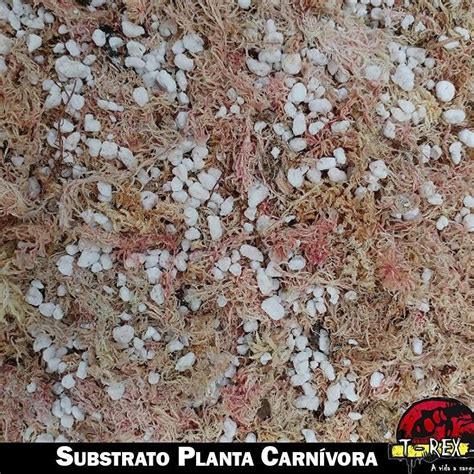 Compre Agora Substrato de Qualidade para suas Plantas Carnívoras