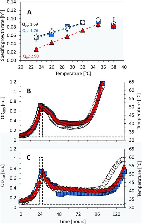 Growth Rates Of Synechocystis Sp Pcc Substrains Gt L White