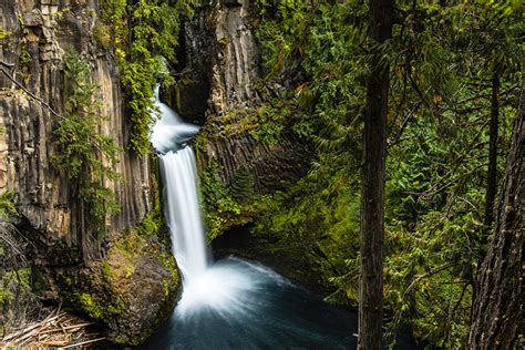 Photo USA Toketee Falls Oregon Crag Nature Waterfalls forest