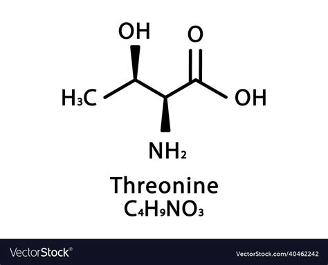 Threonine molecular structure skeletal Royalty Free Vector