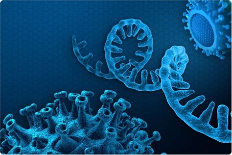 Fast Evolution Of Sars Cov Driven By Extensive Rna Deamination By