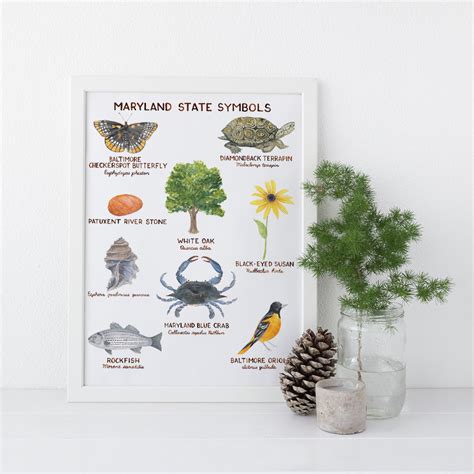 Maryland State Symbols Art Print – Yardia