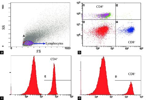 Representative Flow Cytometry Analysis Of Cd4 And Cd8 Lymphocytes