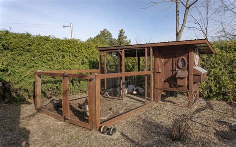 Backyard Chicken Coops For Beginners Chickens In The Six Backyard