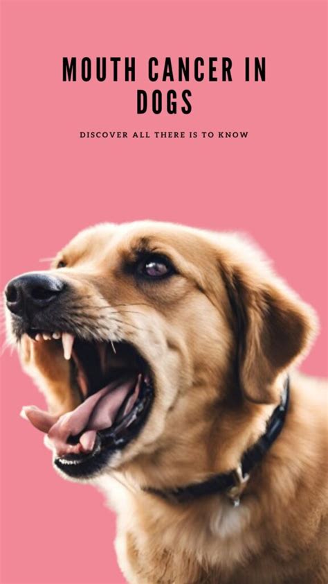 Mouth Cancer in Dogs: Everything You Need To Know