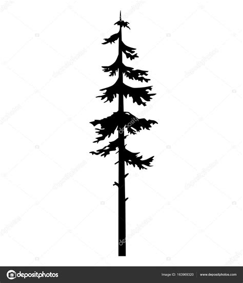 Pine Tree Tattoo Vector Coniferous Nature Vector Silhouette Isolated