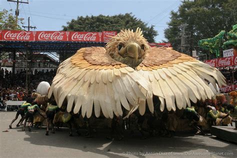 Festival Guide To The Most Awesome Fiestas Of The Philippines