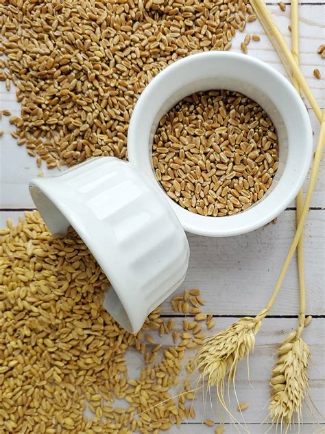 How To Choose Ancient Grains — Farm Fresh Wheat White Wheat Berries For Home Milling