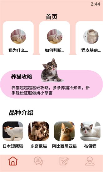 摸摸小猫app下载 摸摸小猫手机版下载v12 安卓版 旋风软件园