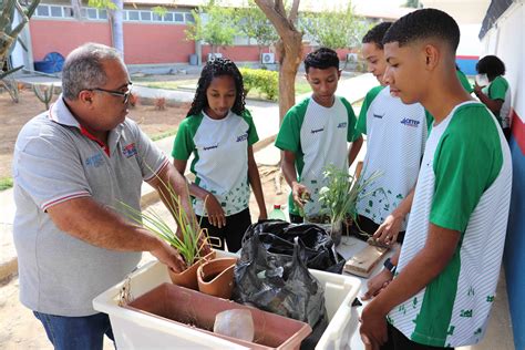 Oficina De Reciclagem - Oficina de Reciclagem – Produção de Tecnologias Sociais para uso na ...