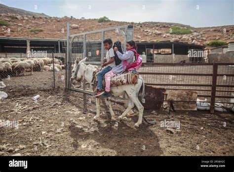 Children riding a donkey to school hi-res stock photography and images ...