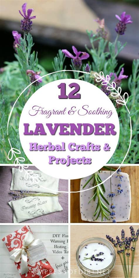 12 Lavender Crafts And Recipes Empress Of Dirt Lavender Crafts