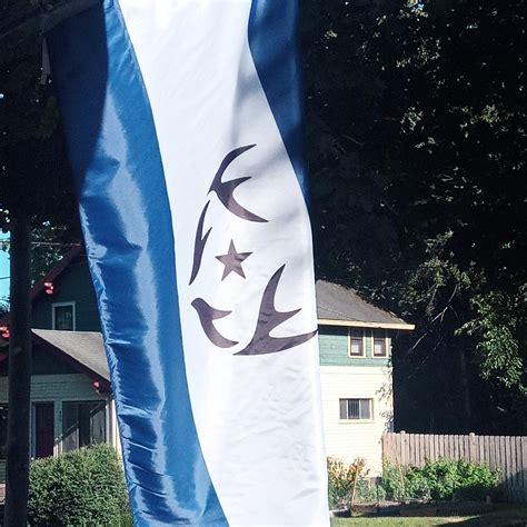 I had my Michigan redesign Printed : r/vexillology