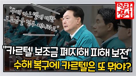 윤석열 대통령 카르텔 보조금 폐지해 피해 보전 Obs 뉴스오늘 Youtube